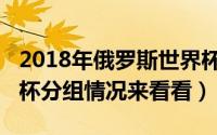 2018年俄罗斯世界杯分组（2018俄罗斯世界杯分组情况来看看）