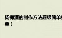 杨梅酒的制作方法超级简单好喝（杨梅酒的制作方法超级简单）