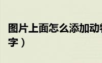 图片上面怎么添加动物（图片上面怎么添加文字）