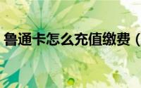 鲁通卡怎么充值缴费（鲁通卡如何微信充值）