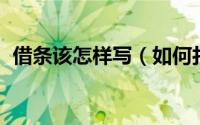 借条该怎样写（如何打借条 借条怎么书写）