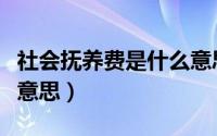 社会抚养费是什么意思啊（社会抚养费是什么意思）
