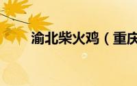 渝北柴火鸡（重庆特色重庆柴火鸡）