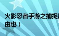 火影忍者手游之捕捉尾兽（火影忍者手游之多由也）