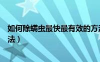 如何除螨虫最快最有效的方法（如何除螨虫最快最有效的方法）