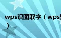 wps识图取字（wps里面的截图识字怎么使用）