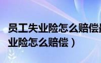员工失业险怎么赔偿最高为多少个月（员工失业险怎么赔偿）