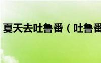 夏天去吐鲁番（吐鲁番人的夏天怎么度过的）