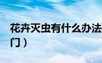 花卉灭虫有什么办法（花卉灭虫我有7个小巧门）