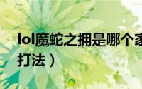 lol魔蛇之拥是哪个家族（LOL魔蛇之拥实战打法）