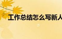 工作总结怎么写新人（工作总结怎么写）