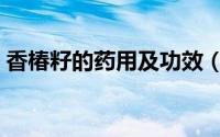 香椿籽的药用及功效（香椿籽的药用及功效）