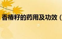 香椿籽的药用及功效（香椿籽的药用及功效）