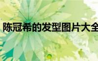 陈冠希的发型图片大全（陈冠希的发型图片）