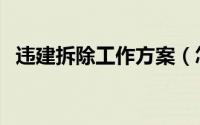 违建拆除工作方案（怎么写违建拆除方案）