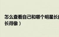怎么查看自己和哪个明星长的像（怎么查看自己和哪个明星长得像）