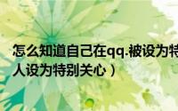 怎么知道自己在qq.被设为特别关心（怎么查看自己QQ被别人设为特别关心）