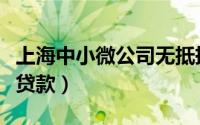 上海中小微公司无抵押贷款（上海无抵押小额贷款）