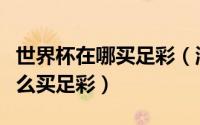 世界杯在哪买足彩（淘宝上怎么参与世界杯怎么买足彩）