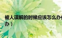 被人误解的时候应该怎么办作文（被人误解的时候应该怎么办）
