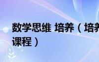 数学思维 培养（培养数学思维的--豌豆思维课程）