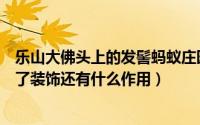 乐山大佛头上的发髻蚂蚁庄园（蚂蚁庄园乐山大佛的发髻除了装饰还有什么作用）