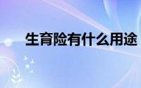 生育险有什么用途（生育险有什么用）
