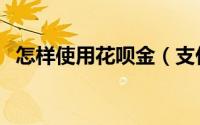 怎样使用花呗金（支付宝花呗金怎么使用）