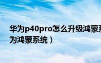 华为p40pro怎么升级鸿蒙系统吗（华为p40 pro怎么升级为鸿蒙系统）