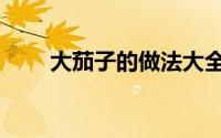 大茄子的做法大全（大茄子的做法）