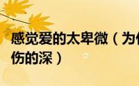 感觉爱的太卑微（为什么你越是爱的卑微越是伤的深）
