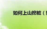 如何上山挖桩（如何上山采蘑菇）