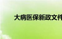 大病医保新政文件（大病医保新政）