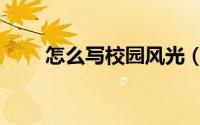 怎么写校园风光（怎么写校园新闻）