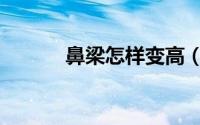 鼻梁怎样变高（鼻梁怎么形容）