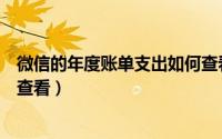 微信的年度账单支出如何查看呢（微信的年度账单支出如何查看）