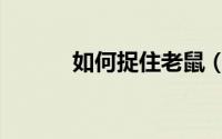 如何捉住老鼠（如何捉屎壳郎）