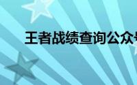 王者战绩查询公众号（王者战绩查询）