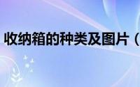 收纳箱的种类及图片（收纳箱的种类有哪些）