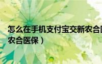 怎么在手机支付宝交新农合医保卡（怎么在手机支付宝交新农合医保）