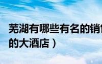 芜湖有哪些有名的销售公司（芜湖有哪些有名的大酒店）