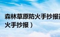 森林草原防火手抄报简单又漂亮（森林草原防火手抄报）