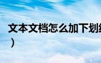 文本文档怎么加下划线（文本文档怎么改格式）