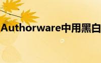 Authorware中用黑白方块填充正方形的方法