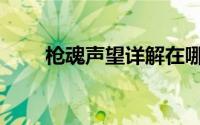 枪魂声望详解在哪（枪魂声望详解）