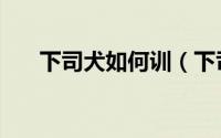 下司犬如何训（下司犬如何训练打猎）