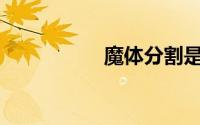 魔体分割是怎么做的？
