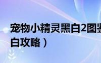 宠物小精灵黑白2图鉴怎么做（宠物小精灵黑白攻略）