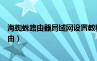海蜘蛛路由器局域网设置教程（如何在虚拟机安装海蜘蛛路由）