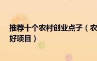 推荐十个农村创业点子（农村14个创业新点子,比打工强的好项目）